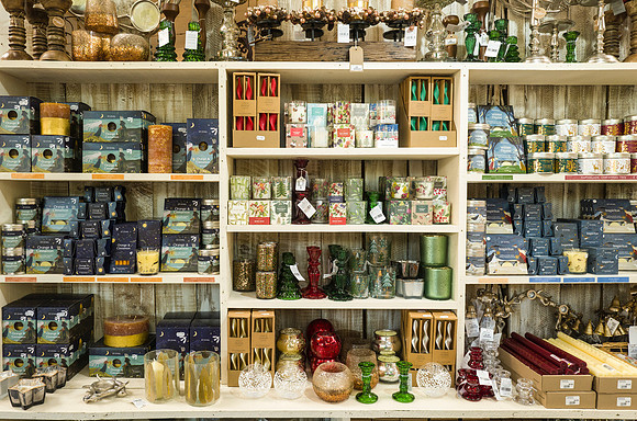 39. Prior Park Garden Centre. Beata Cosgrove Photography