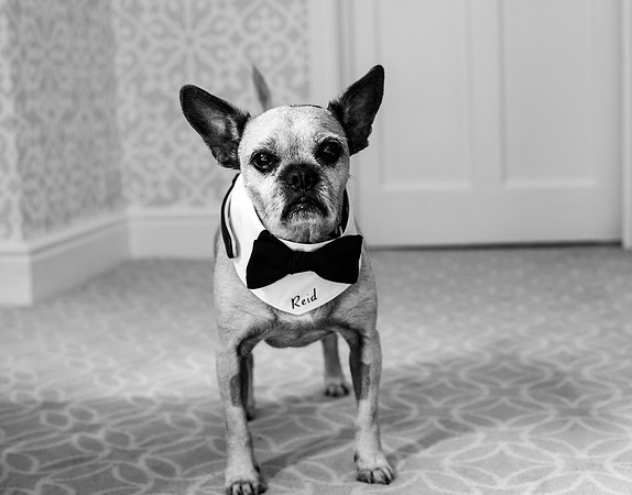 Bath wedding photos