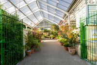 13. Prior Park Garden Centre. Beata Cosgrove Photography