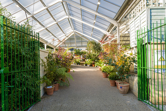 13. Prior Park Garden Centre. Beata Cosgrove Photography