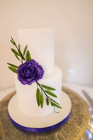 1. Sarahssugarcraft. Beata Cosgrove Photography