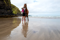 Horse photography