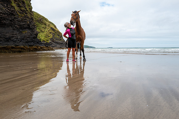 Horse photography